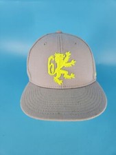 Lebron James Nike True Lion