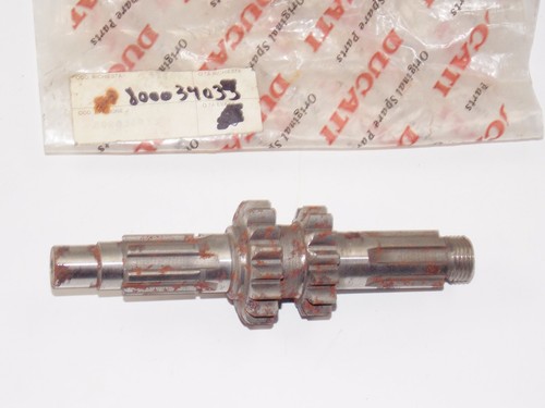 Oem ducati cagiva sst125 - ducati,