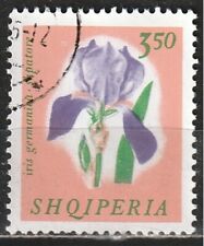 Albania 1965: Iris (Iris germanica) - Fiori | Piante (Flora)