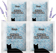 Lettiera per gatti in