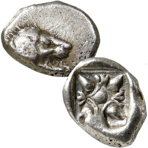 Leone stellate quadrato - leone., stellate,