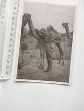 FOTO ORIGINALE DI MILITARE CON