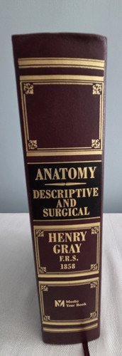 Anatomy descriptive and - anatomy,