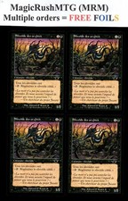 *MRM* FR/VF 4x Slivoide des