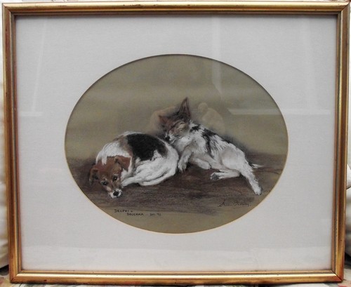 Jack russell terrier pastello - terrier,