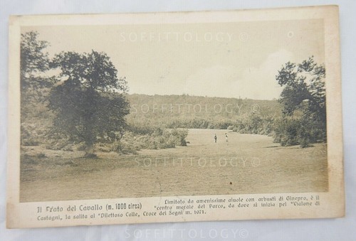 Cartolina foto val - ,