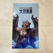 Monster hunter 20th - hunter,