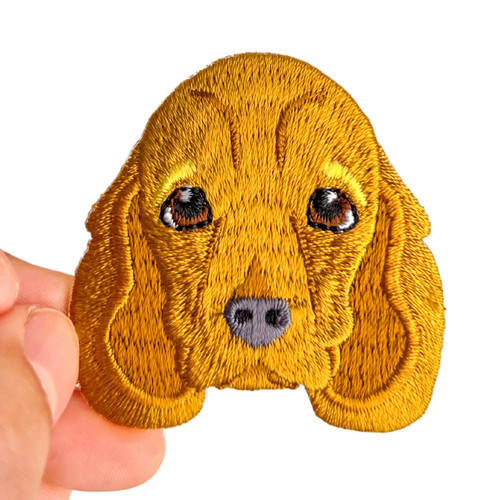 Toppa cane cocker spaniel - cane,