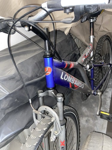 Mountain bike - mountain,