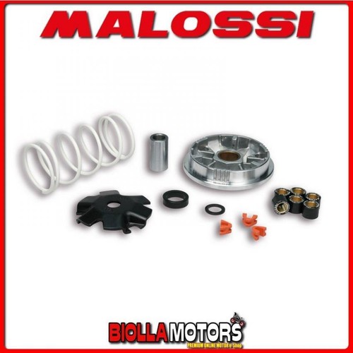 5113603 variatore malossi - variatore,