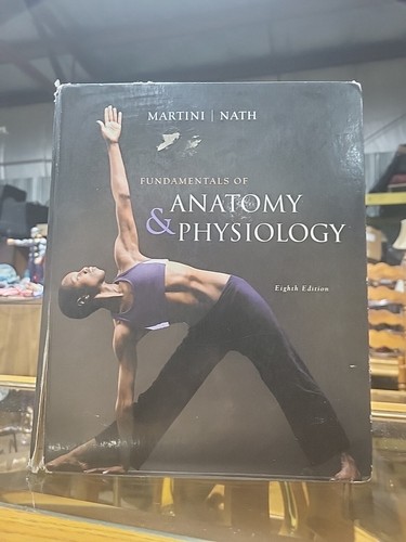 Fundamentals anatomy - fundamentals, of