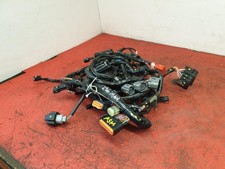 CABLAGGIO KAWASAKI NINJA EX