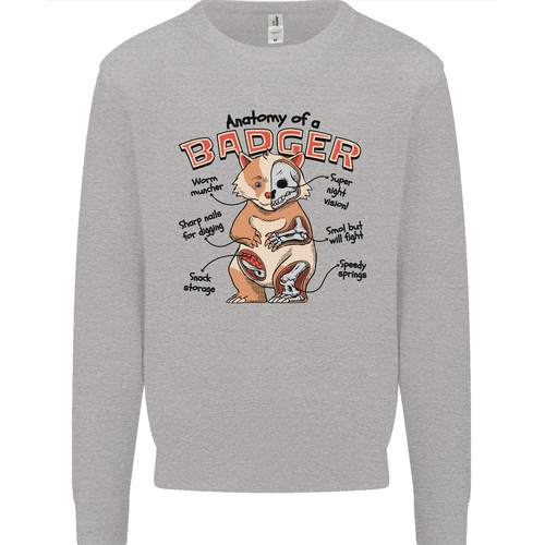 Maglione felpa uomo - , anatomia