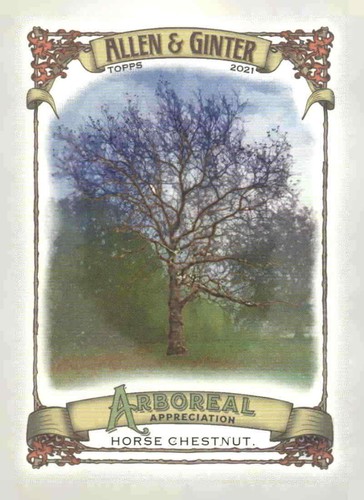 2021 topps allen - 2021, ginter