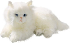 Peluche, Gatto Persiano