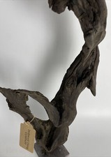 Rarissimo legno alla deriva