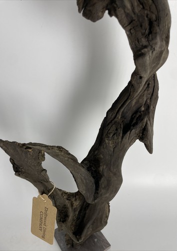 Rarissimo legno alla deriva