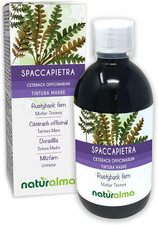 Spaccapietra O Cedracca