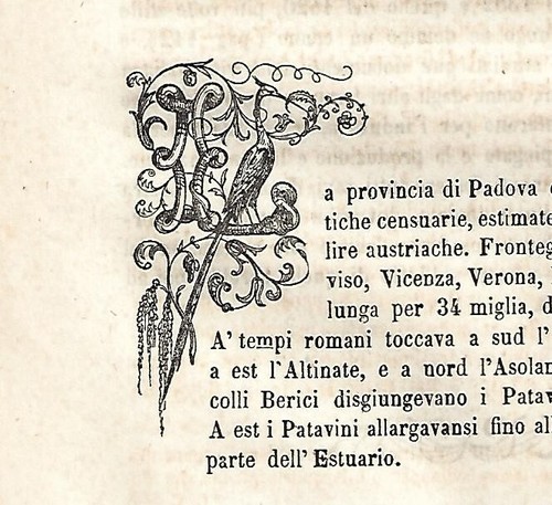 Stampa antica capolettera - capolettera, l