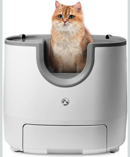 Lettiera gatto autopulente - lettiera,