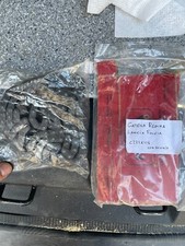 catena distribuzione REGINA