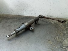 CANNA DELLO STERZO (PIANTONE)