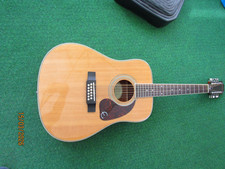 Chitarra western Ephiphone 12