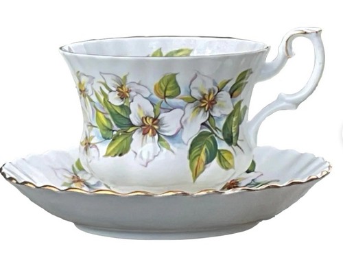 Rara tazza piattino - e,