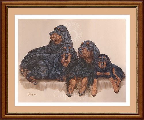 Gordon setters fine art - gordon, dog