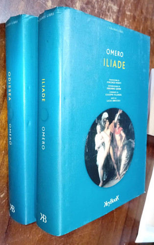 Libro libri omero iliade - n, 2