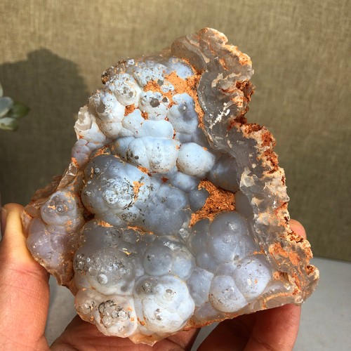 Raro bonsai suiseki gobi - di,