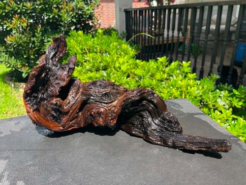 Driftwood mopani acquari pesci - driftwood,