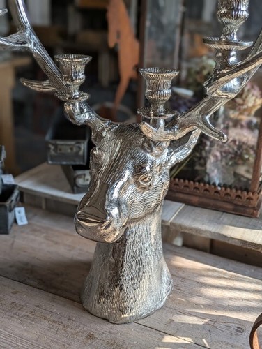 Candelabro cervo busto - candelabro,