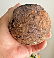 Palla di cannone 8 libbre fuori dal galeone Atocha trovato dal famoso pescatore Mell negli anni 70
