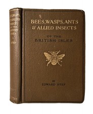 Bees Wasps Ants & Allied