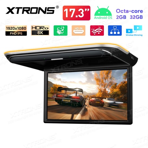 Monitor ribaltabile tetto auto
