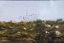 Dipinto olio su tela Fiori tra i sassi Firma Alberto Vespaziani- Quadro anni '70