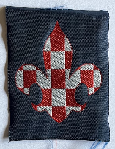 Distintivo promessa - distintivo,