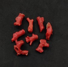 Nuovo Arrivo Corallo Grezzo