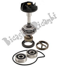 2731 - KIT REVISIONE POMPA