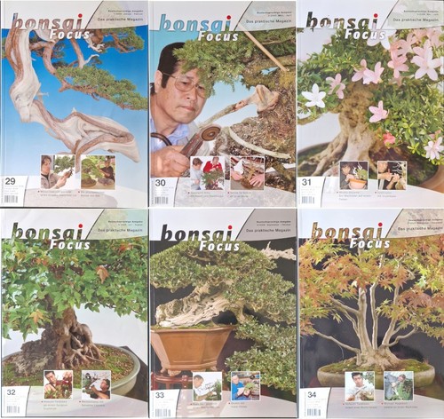 Bonsai europe focus - bonsai,