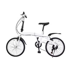 Bicicletta Pieghevole 20