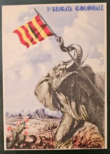 Cartolina colonie brigata - colonie, 1°