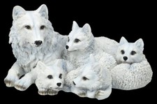 Lupo Figura Famiglia Bianco -