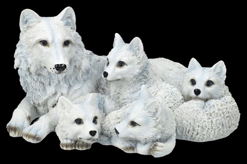 Lupo figura famiglia bianco - lupo,