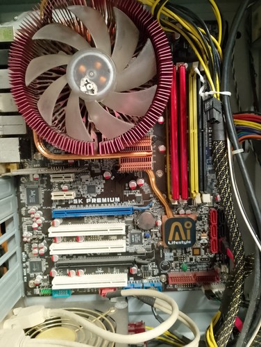 Scheda madre asus p5kpremium - asus, +