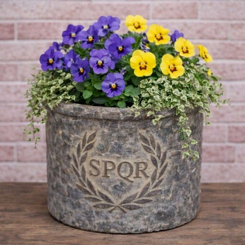 Altobelli vaso fiori roma - vaso, da