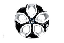 Copricerchio originale 15