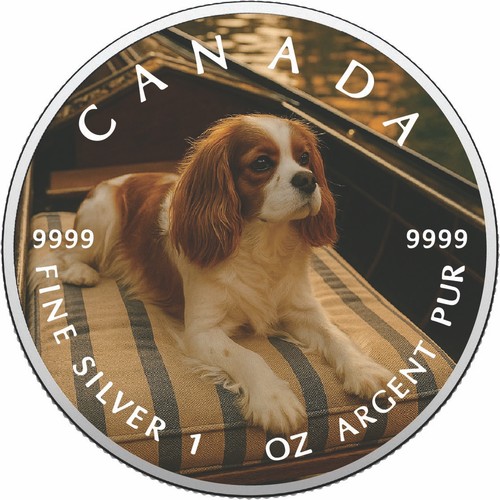 2026 canada oncia 9999 - , 1