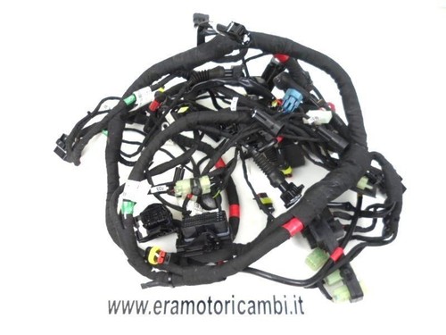 Impianto cablaggio gruppo - cablaggio,
